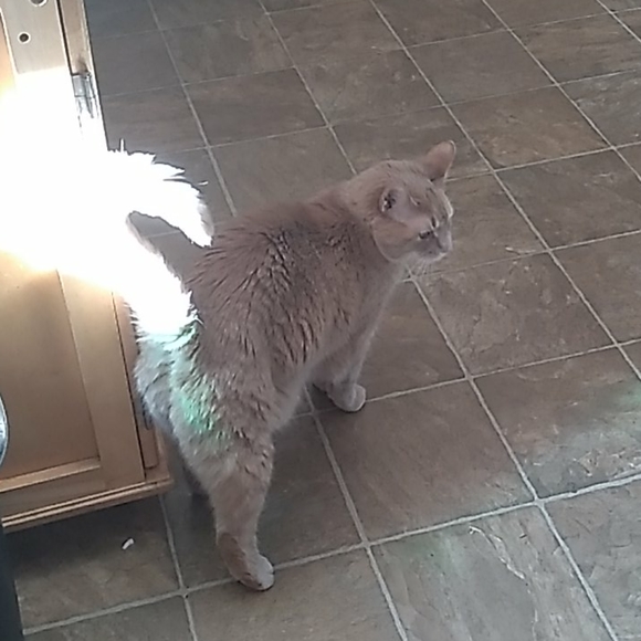 Meet your Posher, Kimberly Dawn - Picture 10 of 10